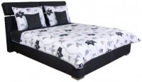 Postel NEAT